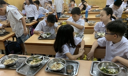 Phụ huynh Hà Nội lo lắng sau vụ 300 tấn thịt lợn bệnh tuồn vào trường học