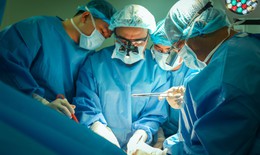 Từ mất mát đến hồi sinh, hành trình cuối cùng ý nghĩa của cô gái người Anh 19 tuổi tại Việt Nam