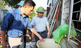 Hà Tĩnh xuất hiện ổ dịch sốt xuất huyết