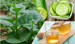 Tạm biệt tóc khô xơ với mặt nạ từ loại rau rẻ tiền, dễ kiếm