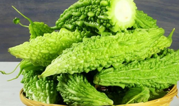 4 lợi ích của thực phẩm có vị đắng