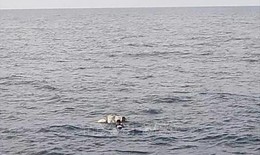 Tìm thấy thi thể ngư dân mất tích sau nhiều ngày tìm kiếm