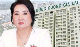 Cổ phiếu QCG tăng kịch trần trong ngày bà Nguyễn Thị Như Loan bị đề nghị án treo