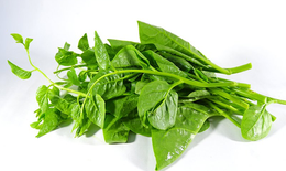 5 vị thuốc quen thuộc giúp giảm nóng trong, táo bón mùa hè