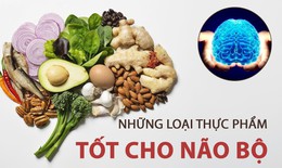 Các chất bổ sung cải thiện trí nhớ trong mùa thi: Hiểu đúng để dùng hiệu quả
