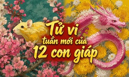 Tử vi tuần mới 12 con giáp 11-17/5: Ngọ trắc trở, Dậu tài lộc khởi sắc