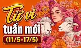 Tử vi tuần mới 12 cung hoàng đạo 11-17/5: Thiên Bình nổi bật, Bạch Dương may mắn
