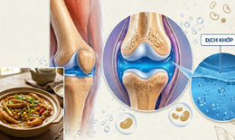 3 món ăn giúp ‘bôi trơn’ khớp gối cho người trung niên và cao tuổi