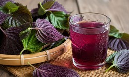 5 lợi ích khi uống nước lá tía tô mỗi sáng trong 30 ngày