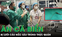 Hiếm gặp: Ăn cá biển, người đàn ông bị lưỡi câu mắc sâu trong thực quản