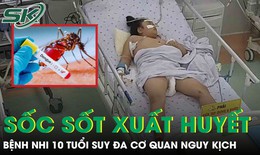 Sốc sốt xuất huyết, bệnh nhi 10 tuổi suy đa cơ quan, tổn thương gan cấp tính nguy kịch