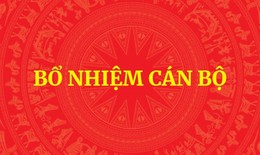 Điều động, bổ nhiệm Trợ lý Thủ tướng và Trợ lý Phó Thủ tướng Thường trực Chính phủ
