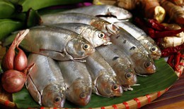 Cá mòi kho: Bí quyết nấu đậm đà, rục xương mà vẫn giữ trọn dinh dưỡng