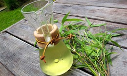 Bài thuốc chữa bệnh từ lá tre