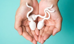 Số lượng tinh trùng của nam giới bao nhiêu là ít?