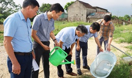Thời tiết diễn biến phức tạp, Hà Tĩnh chủ động ngăn dịch sốt xuất huyết