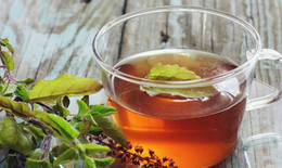 3 loại lá thông dụng hỗ trợ điều trị tăng huyết áp