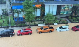 Thống kê thiệt hại ban đầu do mưa lớn, dông lốc ở nhiều địa phương