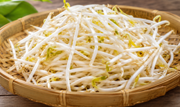 Lý do nên ăn giá đỗ vào tháng Năm