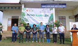 Trồng 6000 cây bản địa ở Sơn La để phục hồi rừng tự nhiên