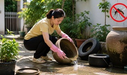 Vì sao sốt xuất huyết tăng mạnh vào mùa hè?
