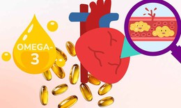 Omega-3 có tác dụng gì trong điều trị mỡ máu?