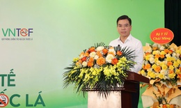Việc xây dựng cơ sở y tế không khói thuốc phải thực chất, không chỉ dừng ở khẩu hiệu...
