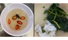 Sở Y tế TP Huế thông tin kết quả xác minh phản ánh 'canh rau có sâu'