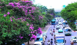 Nắng nóng gia tăng mạnh, miền Bắc và Trung Bộ có nơi vượt 38 độ C
