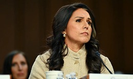 Giám đốc Tình báo Quốc gia Mỹ Tulsi Gabbard từ chức vì lý do sốc