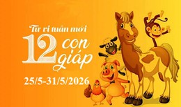 Tử vi tuần mới 12 con giáp 25 - 31/5: Tị biến động, Thìn vô cùng thuận