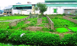 Chuyển đất vườn sang đất ở được tính tiền sử dụng đất ưu đãi ra sao?