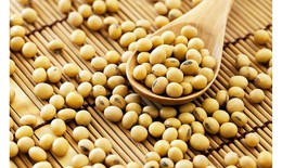 Khi nào người bệnh tuyến giáp cần thay đổi chế độ ăn?