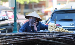 Người lao động oằn mình kiếm sống giữa nắng nóng cực điểm