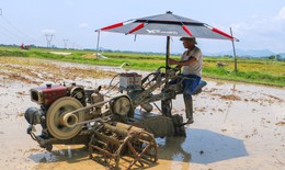 Chủ động phòng tránh say nắng, sốc nhiệt mùa nắng nóng