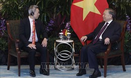 Tổng Bí thư, Chủ tịch nước Tô Lâm tiếp lãnh đạo các doanh nghiệp và tổ chức tài chính lớn của Singapore