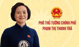 Phó Thủ tướng Phạm Thị Thanh Trà làm Trưởng BCĐ quốc gia về phát triển ngành Dược Việt Nam