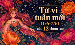 Tử vi tuần mới 12 cung hoàng đạo 1/6 - 7/6: Bạch Dương - Bảo Bình đón vận may