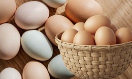 Tác động của trứng với sức khỏe tim mạch