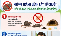 [Infographic] 5 khuyến cáo phòng bệnh virus Hanta