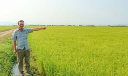 Kỳ lạ: Khu đất ở làng gốm Chăm Bàu Trúc múc lên rồi lại tự đầy