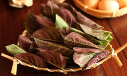 Bài thuốc lá mơ lông - trứng gà trị tiêu chảy