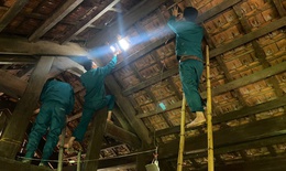 Dông lốc, mưa đá tàn phá Nghệ An: Hàng nghìn héc-ta lúa đổ rạp, gần 1.000 nhà hư hỏng