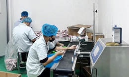 Công an Hải Phòng triệt phá cơ sở sản xuất hàng giả số lượng lớn