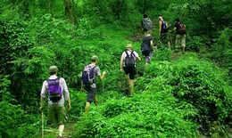 Tổ chức du lịch, kinh doanh trái phép trong rừng bị phạt tới 10 triệu đồng