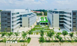 Thành lập phân hiệu, sáp nhập một số trường cao đẳng vào đại học
