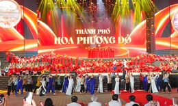 Bừng sáng Lễ hội Hoa Phượng Đỏ 2026