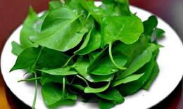 5 tác dụng của cây lá giang với sức khỏe