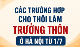 Hai trường hợp Trưởng thôn, Tổ trưởng tổ dân phố cho thôi nhiệm vụ tại Hà Nội từ 1/7