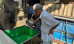 Sốt xuất huyết vẫn tiềm ẩn nhiều nguy cơ, hành động từ mỗi gia đình để bảo vệ cộng đồng